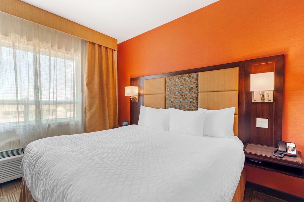 Standard Room, 1 King Bed, Non Smoking, Kitchenette (Larger Room) photo 1