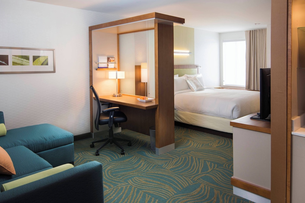 Suite, 1 King Bed with Sofa bed photo 1