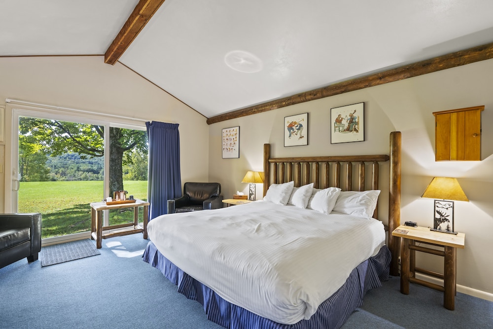 Standard Room, 1 King Bed, Mountain View photo 1