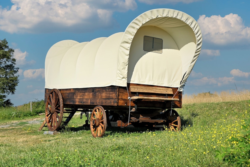 Standard Suite, Ensuite (Cowboy) photo 1