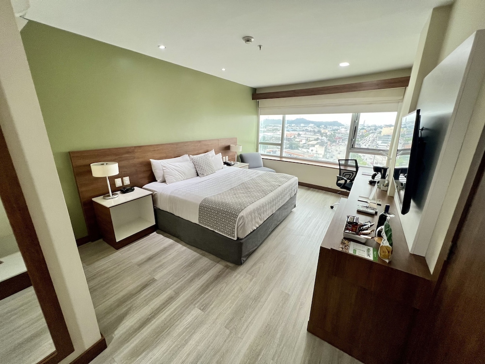 Room, 1 King Bed, Accessible photo 3