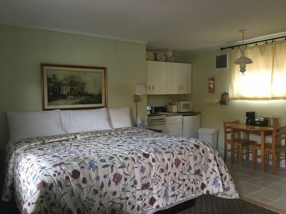 Economy Room, 1 King Bed, Kitchenette, Mountain View photo 1