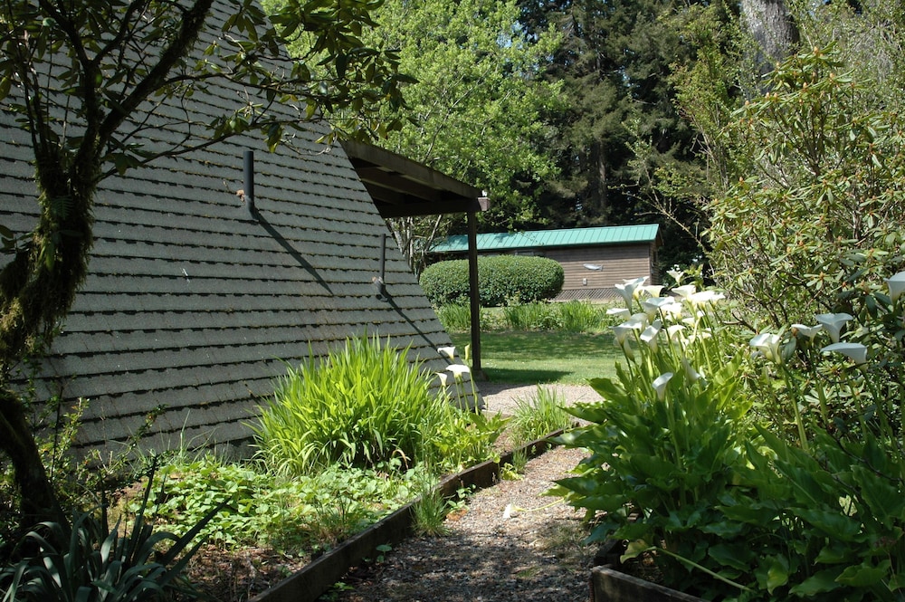 Family Cabin, 2 Bedrooms, Kitchen photo 2