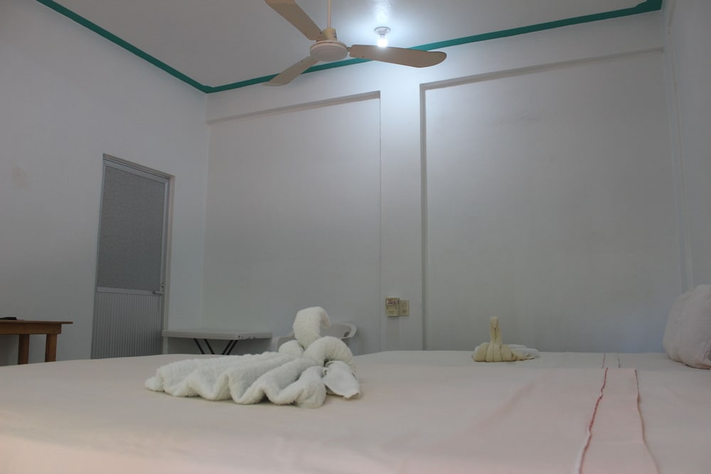 Basic Twin Room - Photo 18