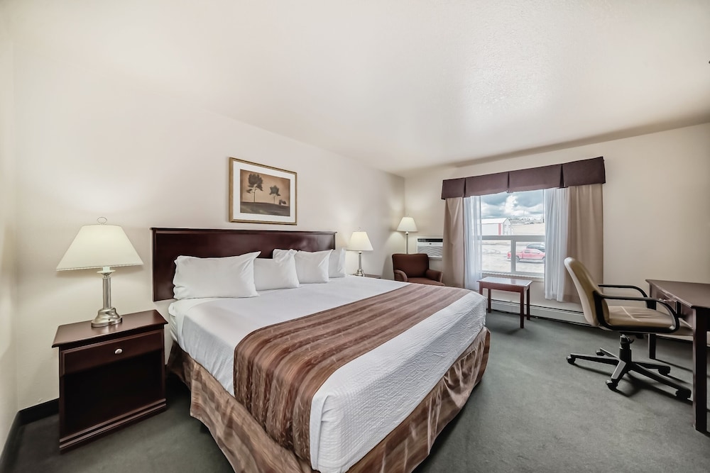 Room, 1 King Bed