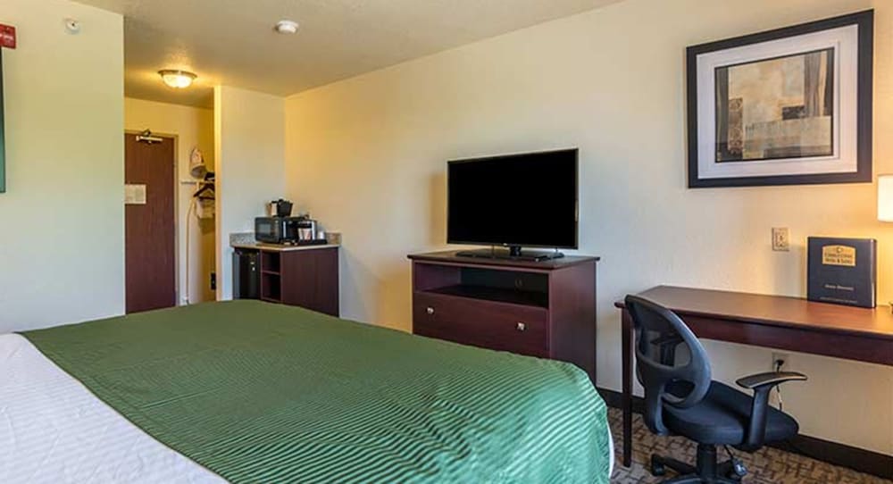 Room, 1 King Bed, Bay View photo 2