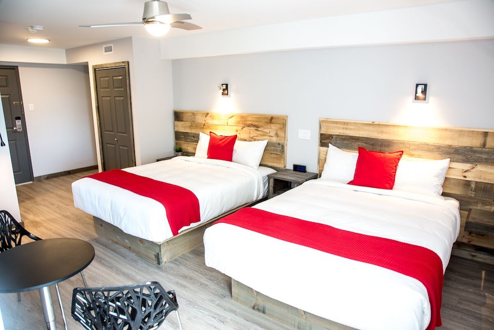 Room, 2 Queen Beds photo 1