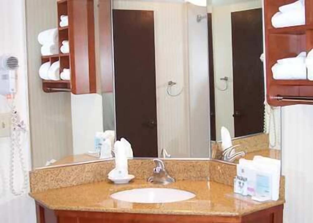 Room, Accessible, Non Smoking (Roll-In Shower) - Photo 4