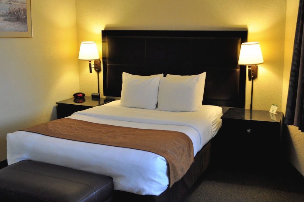 Standard Room, 1 Single Bed - Photo 2