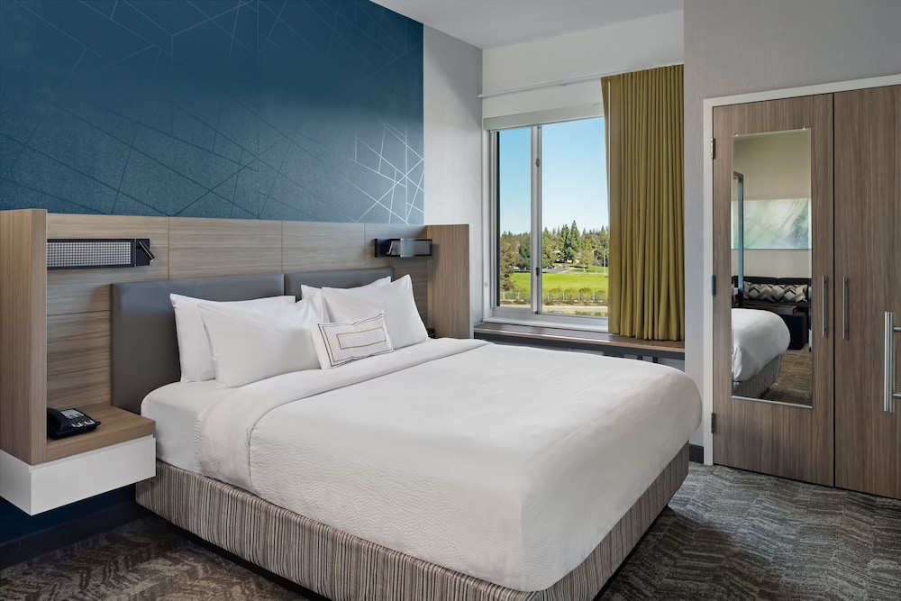 Suite, 1 King Bed with Sofa bed (Hearing Accessible) photo 2