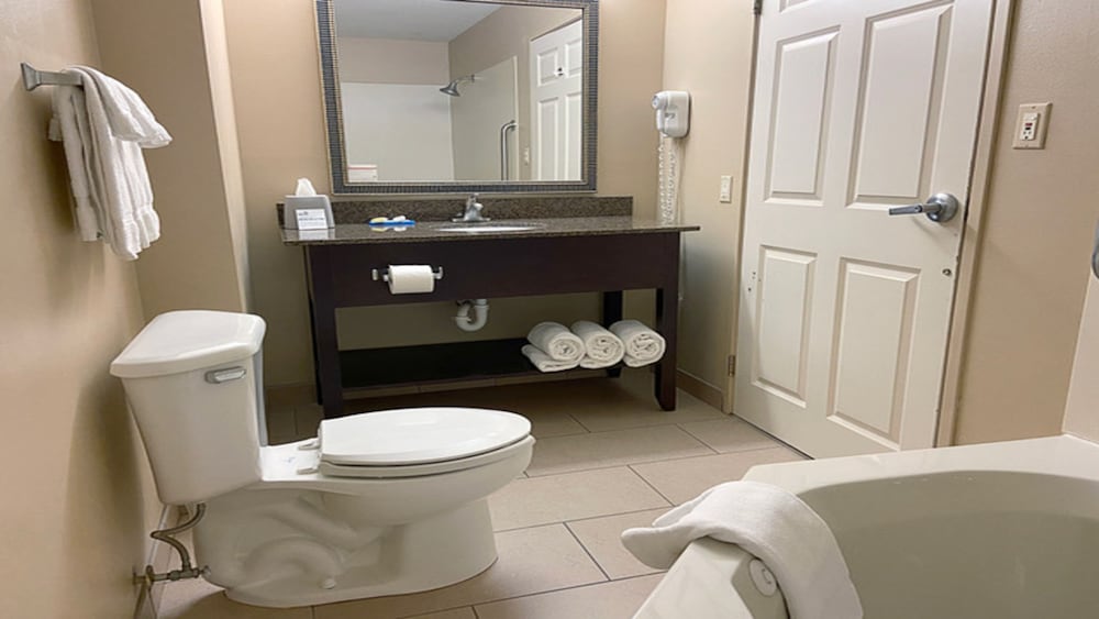 Suite, 1 King Bed - Photo 1