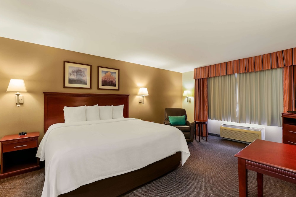 Room, 1 King Bed, Non Smoking (Efficiency) photo 1