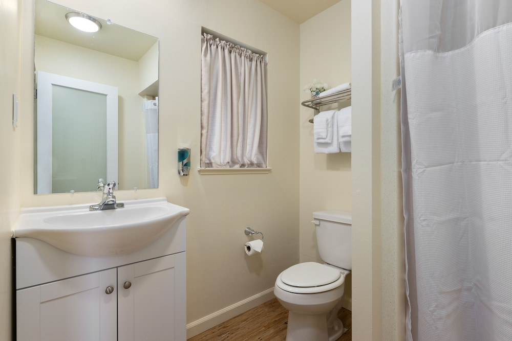 Standard Single Room, 1 King Bed, Lake View photo 3