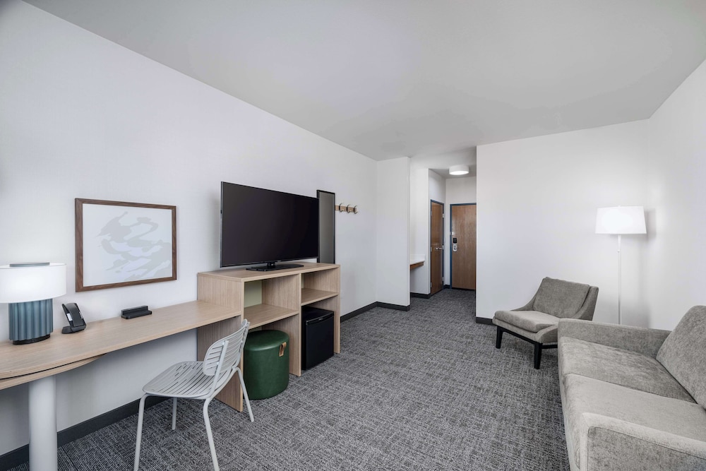Room, 1 King Bed with Sofa bed, Accessible (Mobility & Hearing) photo 3