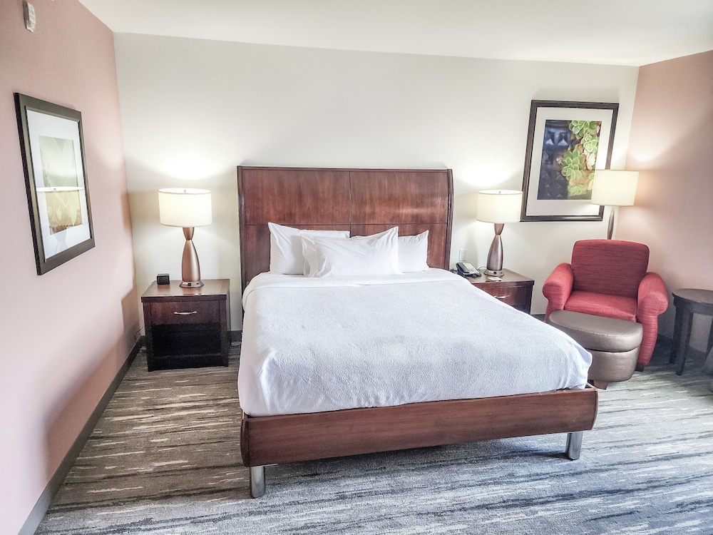 Room, 1 King Bed, Accessible, Bathtub (Hearing) photo 2