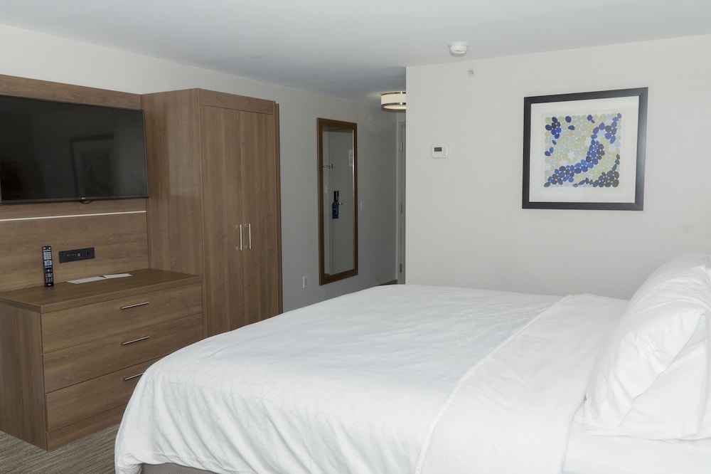 Suite, 1 King Bed - Photo 3