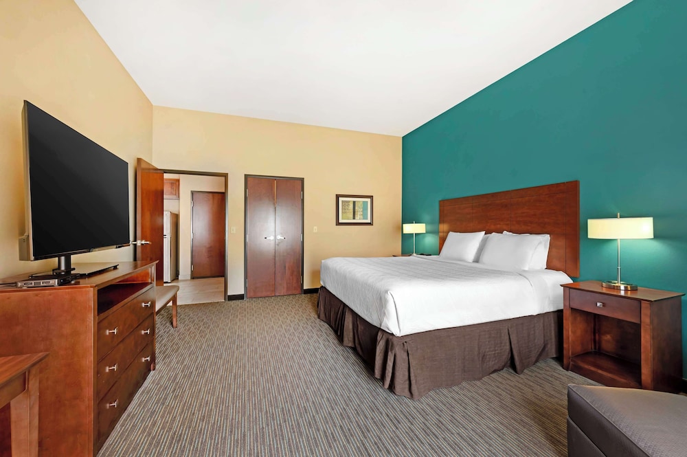 Executive Room, 1 King Bed, Non Smoking, Refrigerator & Microwave (Shower Only) photo 2