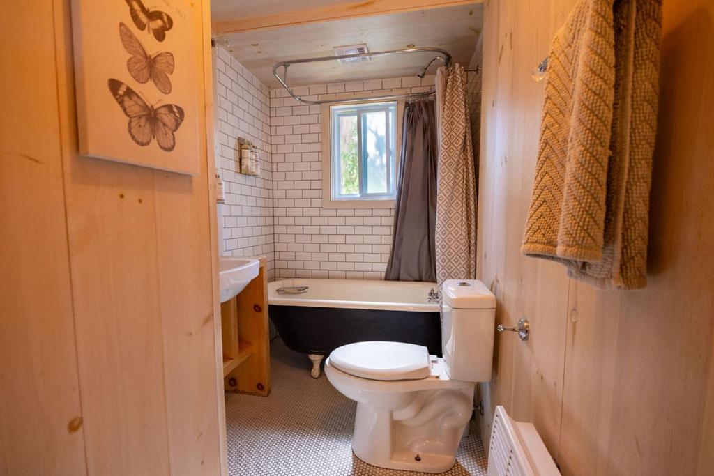 Three-Bedroom Chalet photo 2