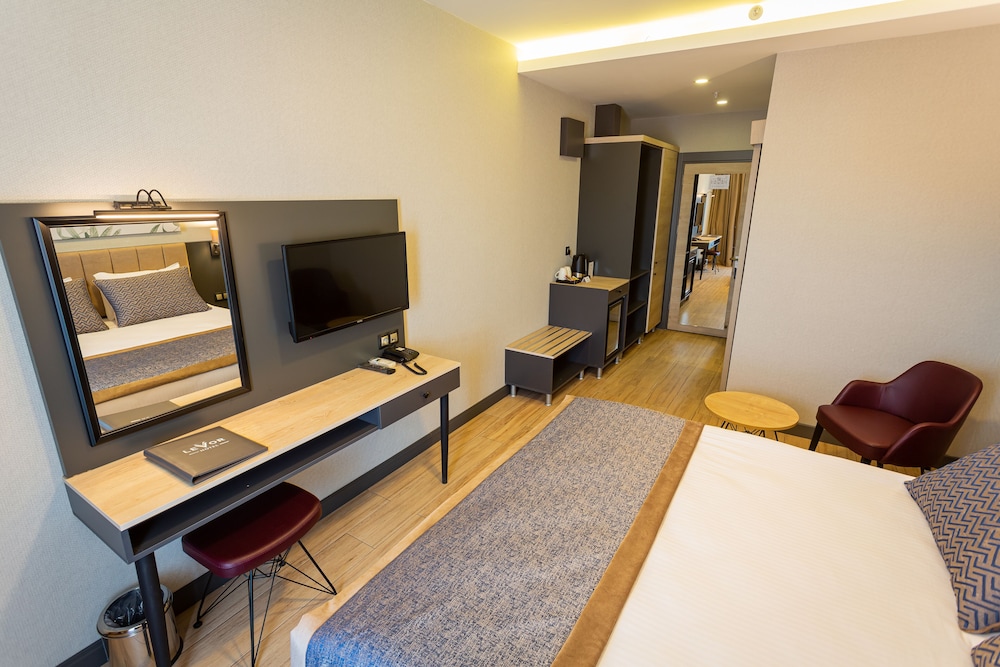 Deluxe Room - Photo 5