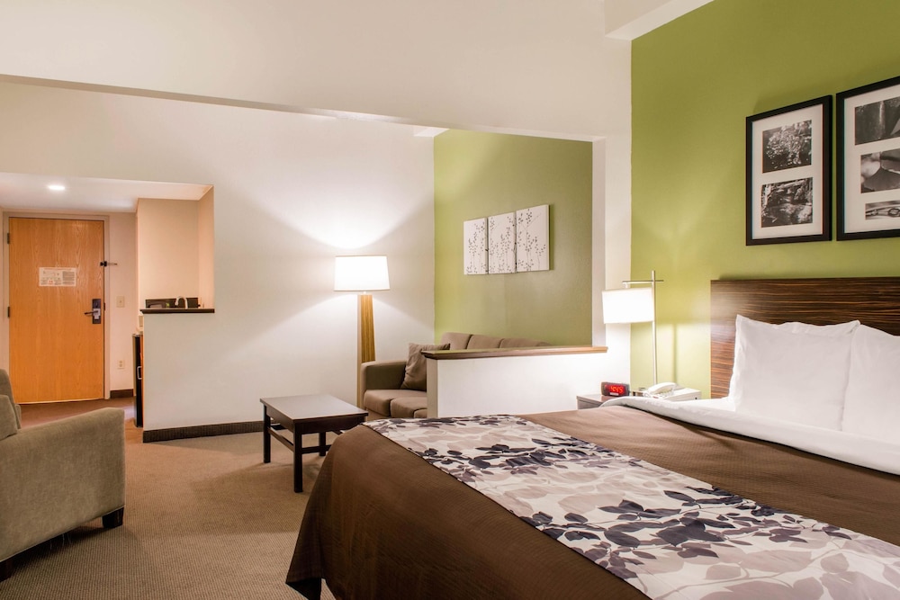 Suite, 1 King Bed with Sofa bed, Non Smoking photo 2