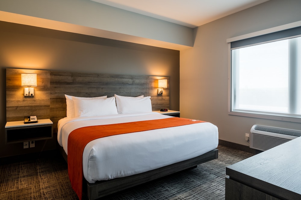 Room, 1 King Bed, Accessible photo 2