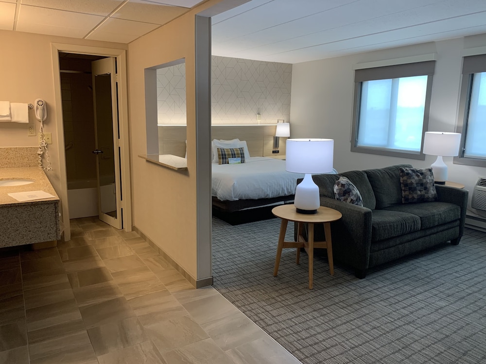 Studio Suite, 1 King Bed, Non Smoking - Photo 3