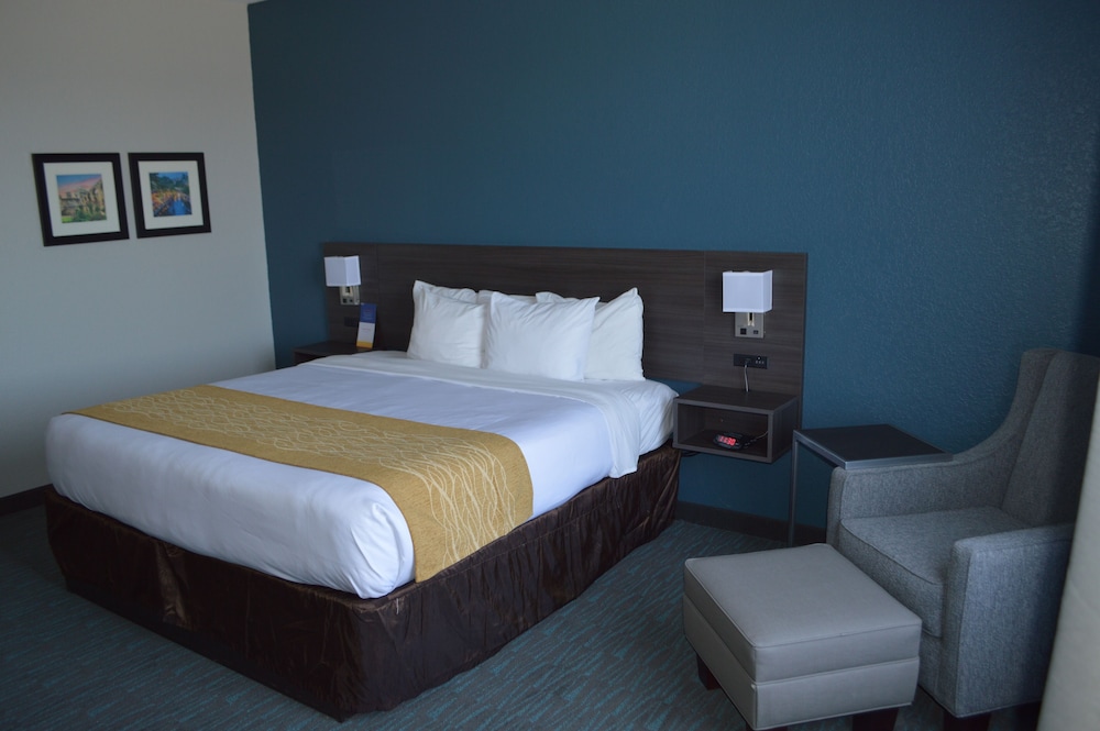 Suite, 1 King Bed With Sofa Bed, Non Smoking