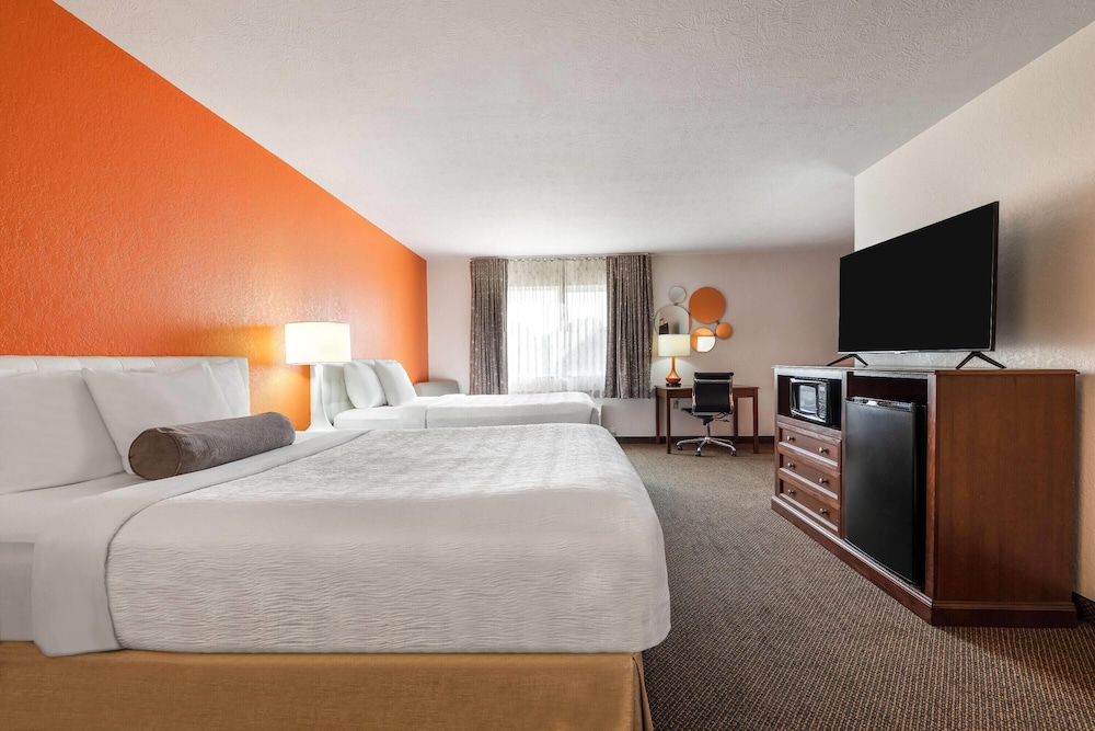 Studio Suite, Multiple Beds, Non Smoking - Photo 2