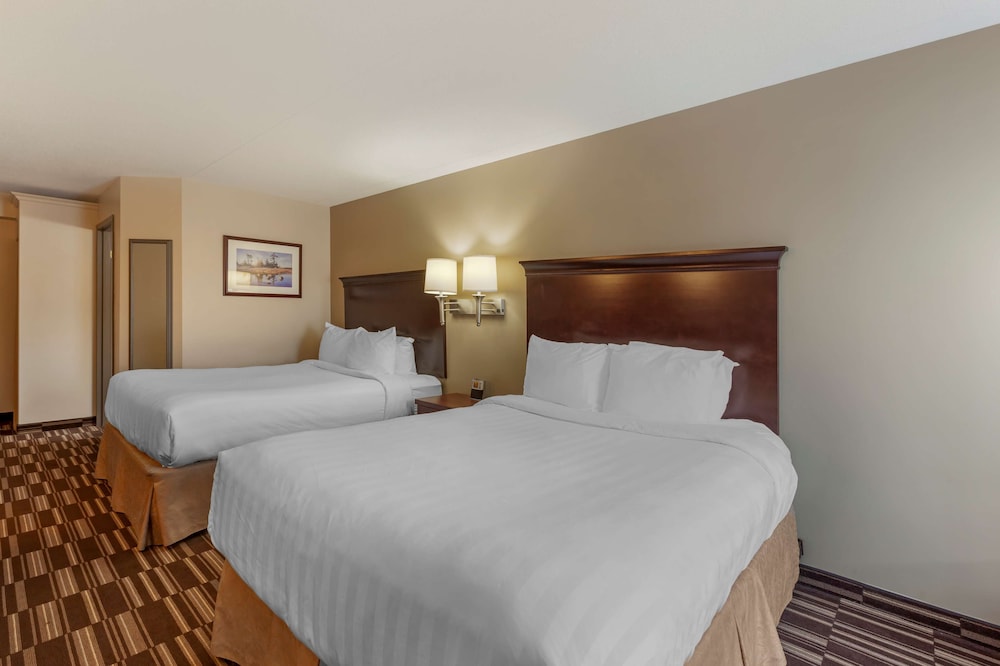 Standard Room, 2 Queen Beds, Non Smoking, Refrigerator & Microwave (Pet Friendly) - Photo 2