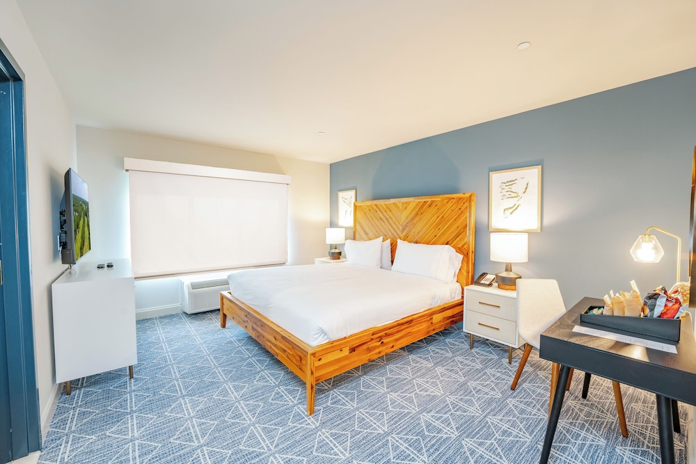 Premium Studio Suite photo 2