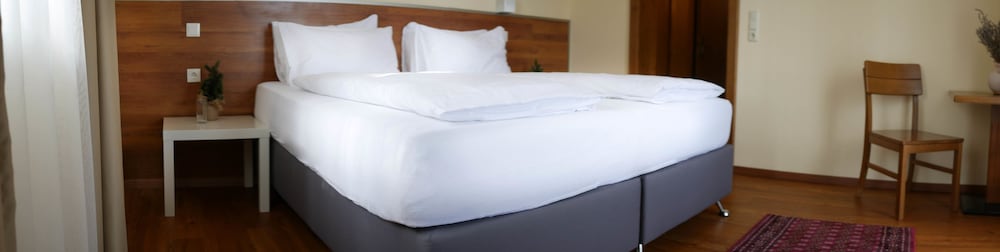 Double Room (with roof slope)