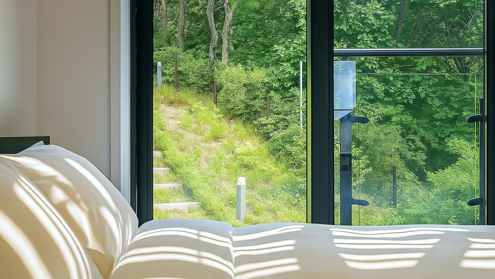 Basic Room, 2 Bedrooms (Pension Room 201 (Terrace))