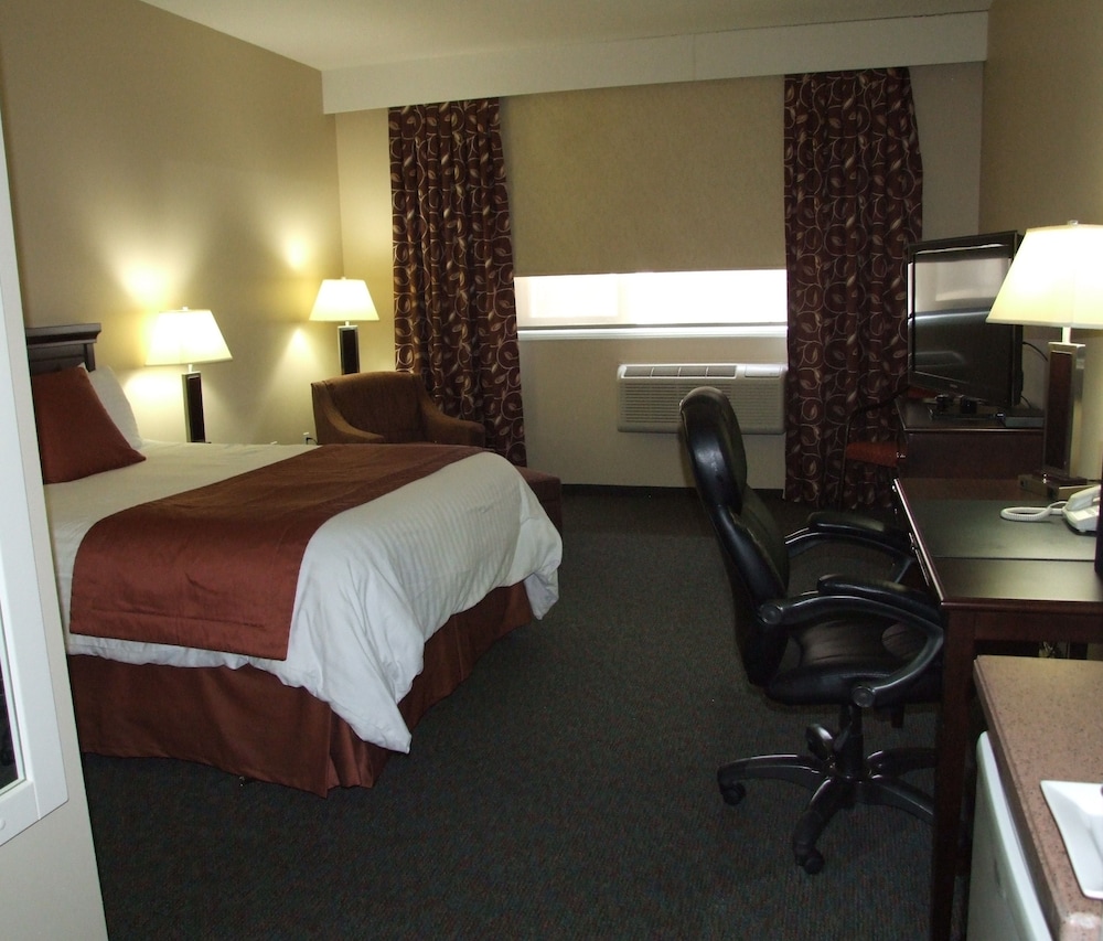 Signature Room, 1 Queen Bed