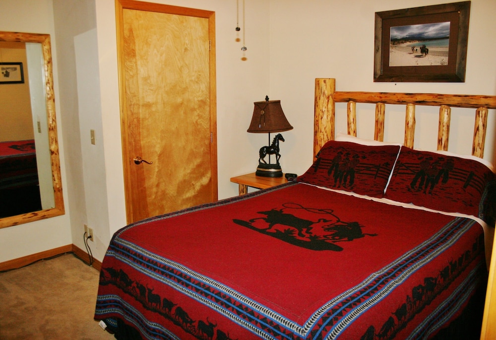 Appaloosa photo 3