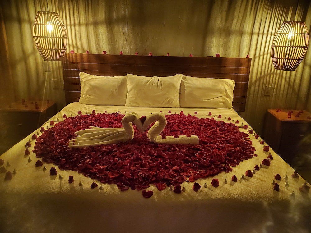 Deluxe Room photo 2