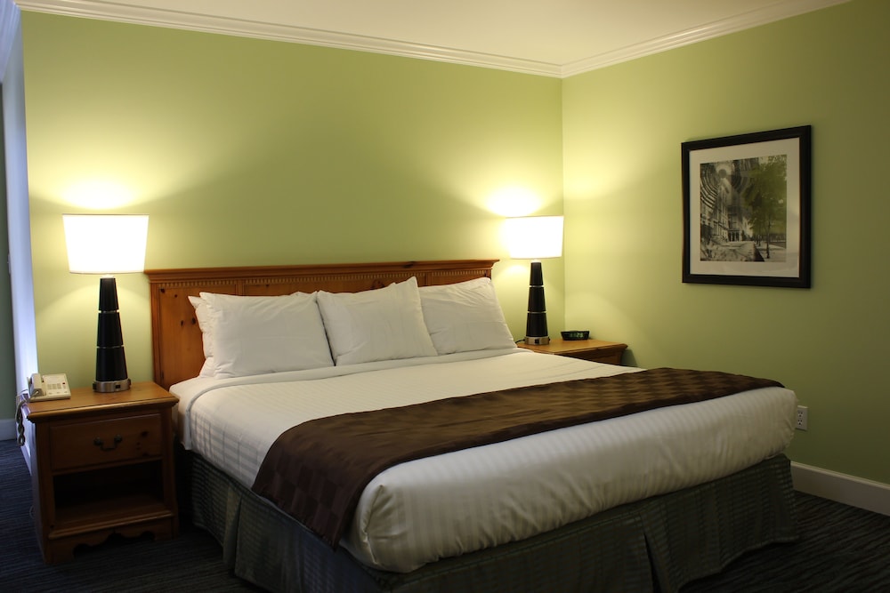 Room, 1 King Bed - Photo 4