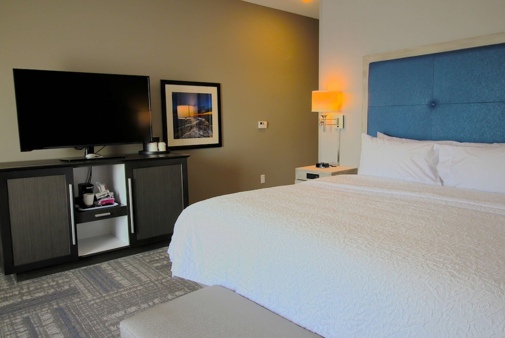 Room, 1 King Bed, Accessible, Non Smoking (Mobility & Hearing, Roll-in Shower) photo 2