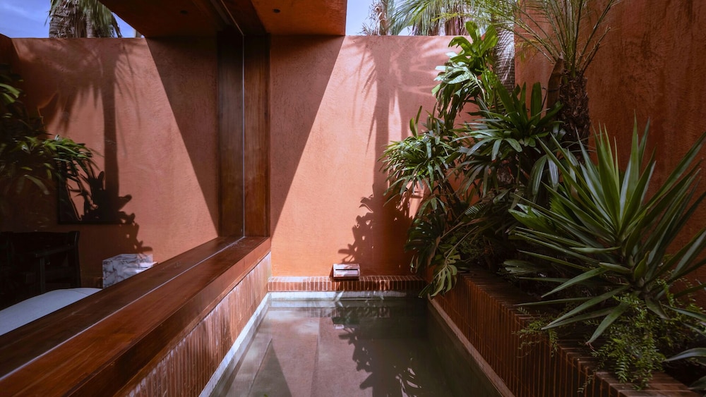 Luxury Suite photo 2