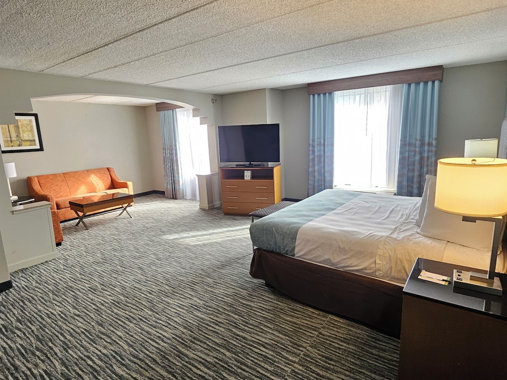 Suite, 1 King Bed, Non Smoking - Photo 1