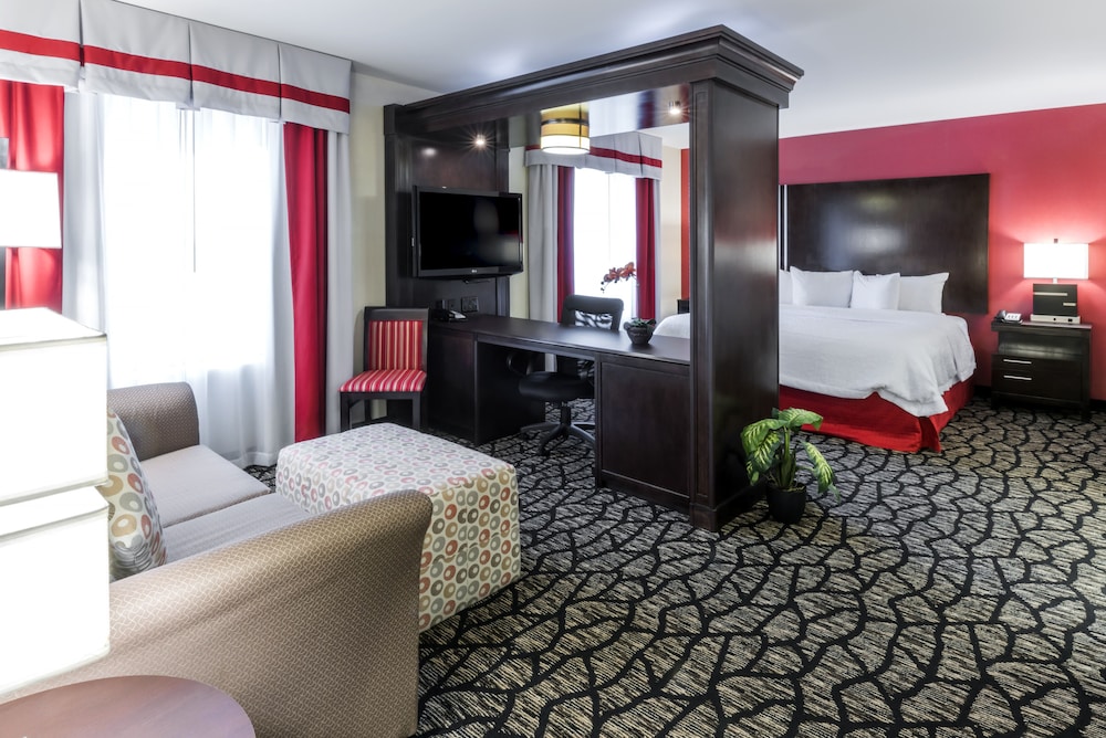 Basic Room, 1 King Bed, Accessible (Roll-In Shower) - Photo 4