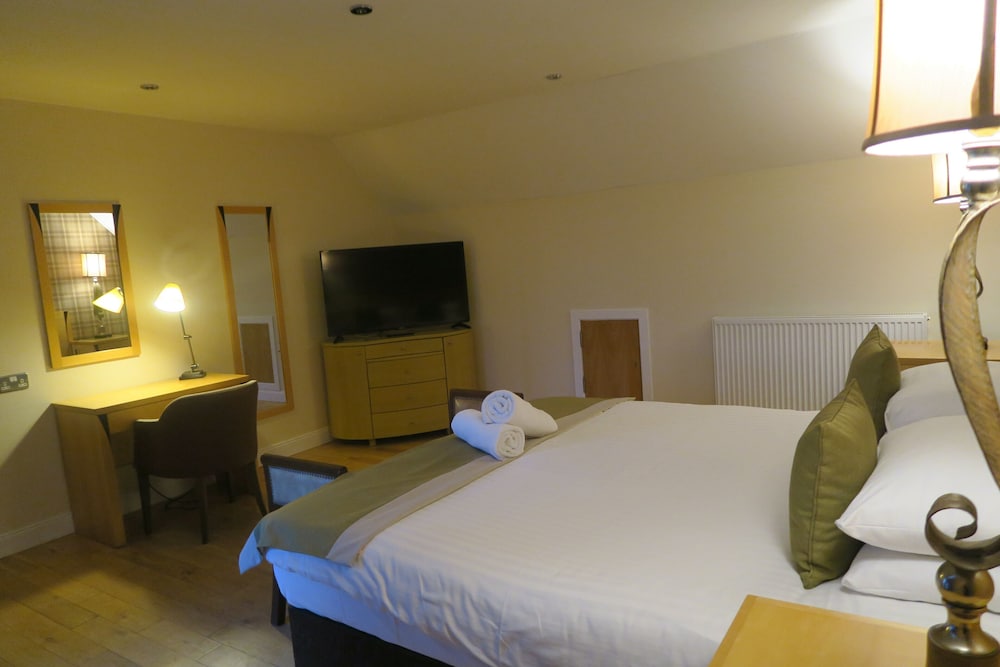 Deluxe Suite, 1 King Bed photo 2