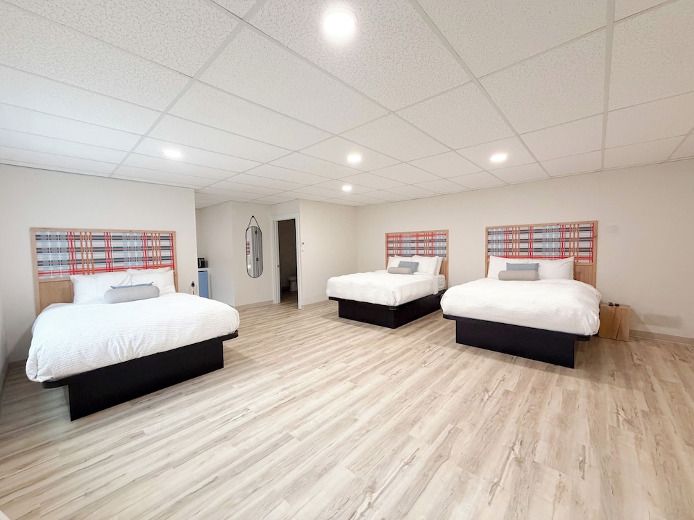 Deluxe Studio Suite, Multiple Beds photo 3