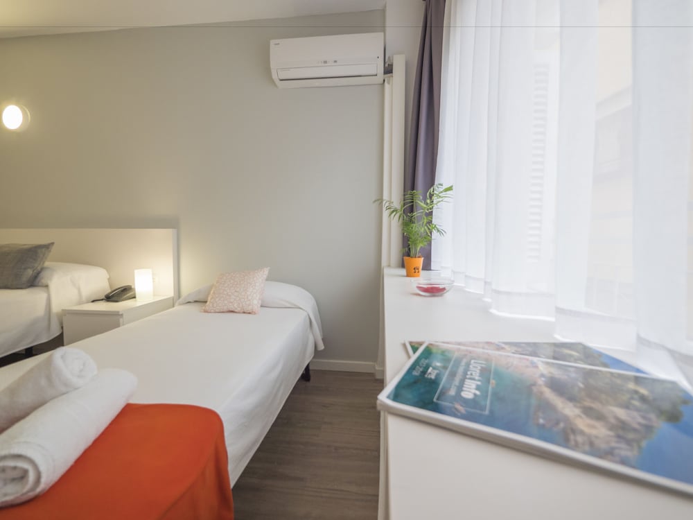 Single Room photo 3