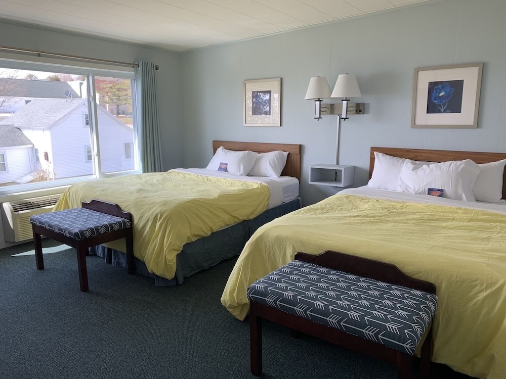 Junior Room, Lake View 204, Not Pet Friendly photo 2