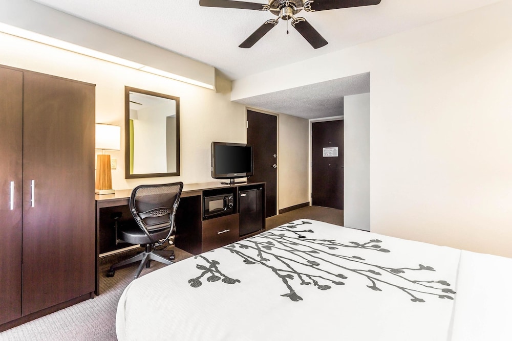 Room, 1 Queen Bed, Accessible, Non Smoking - Photo 2