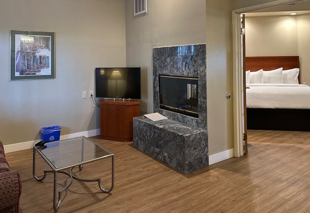 Jacuzzi Suite - Photo 3