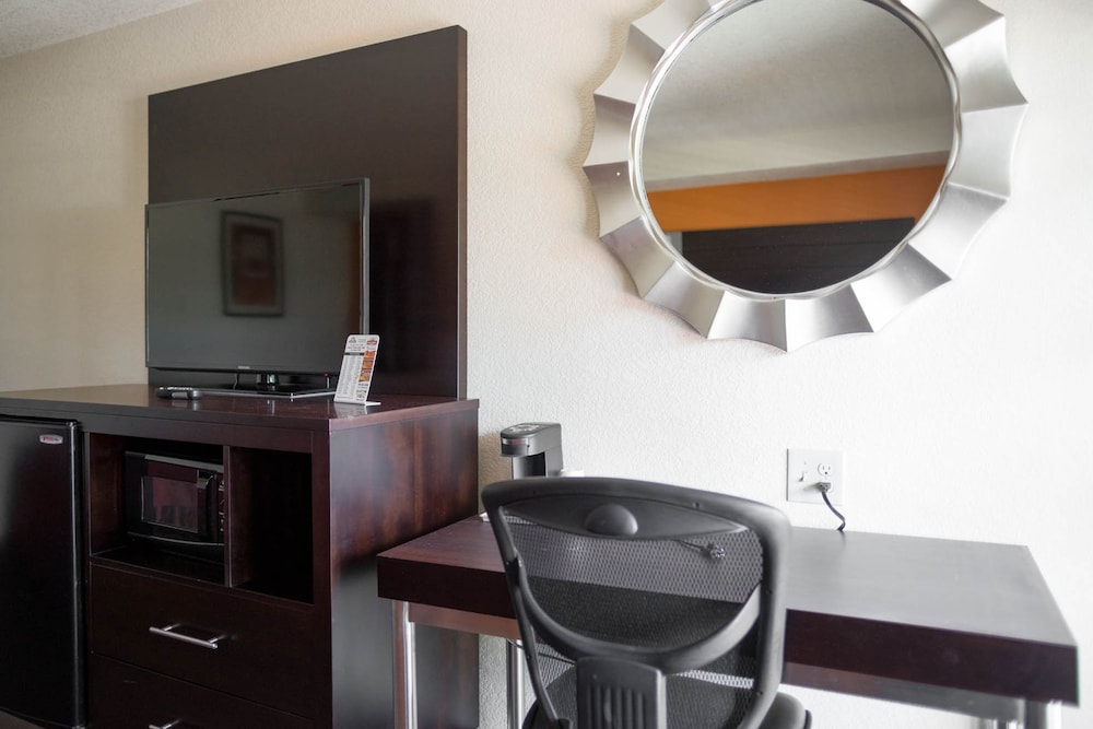 Deluxe Single Room photo 2