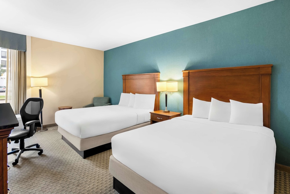 Room, 1 King Bed