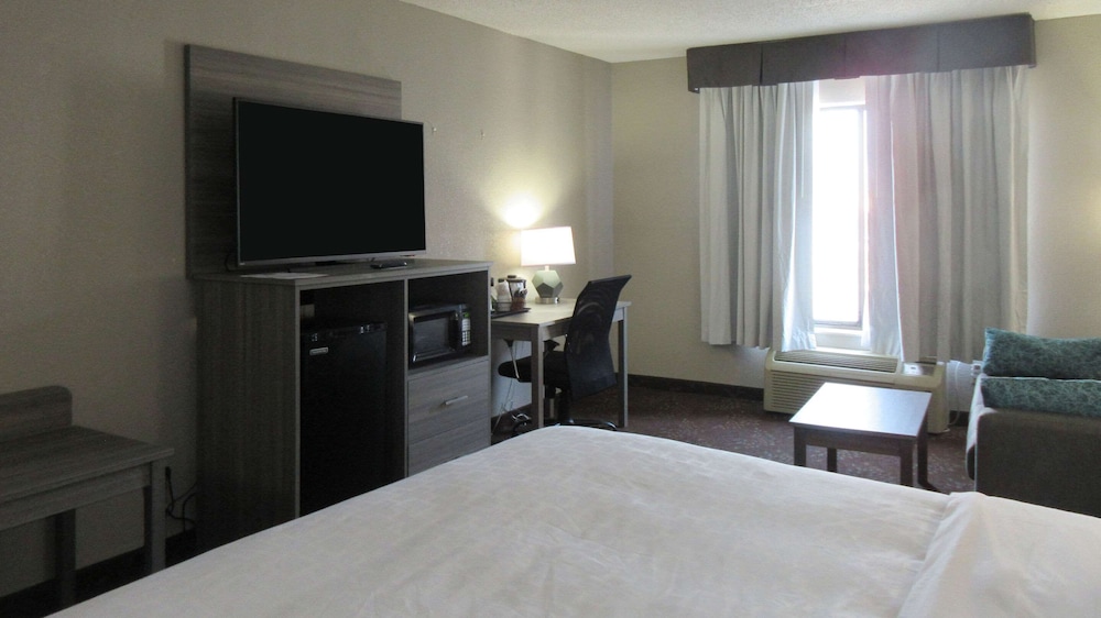Room, 1 King Bed, Accessible, Non Smoking (Roll-In Shower) - Photo 5