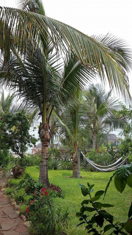 Bungalow (4 pax) photo 3